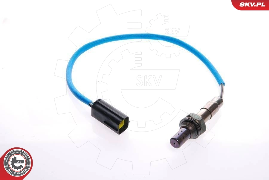 Oxygen Sensor